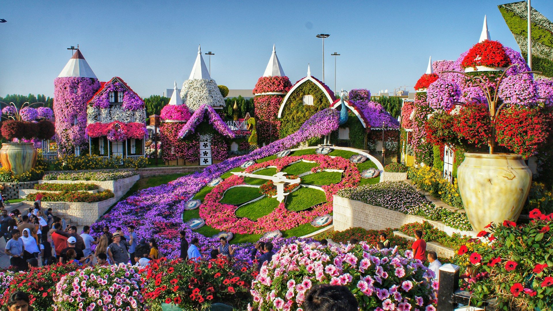 Dubai Miracle Garden Tickets