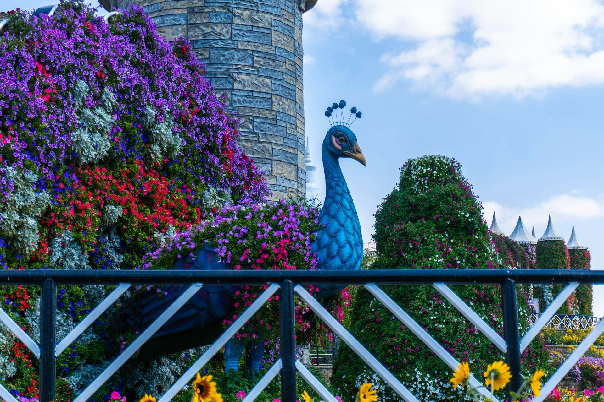 Dubai Miracle Garden Tickets