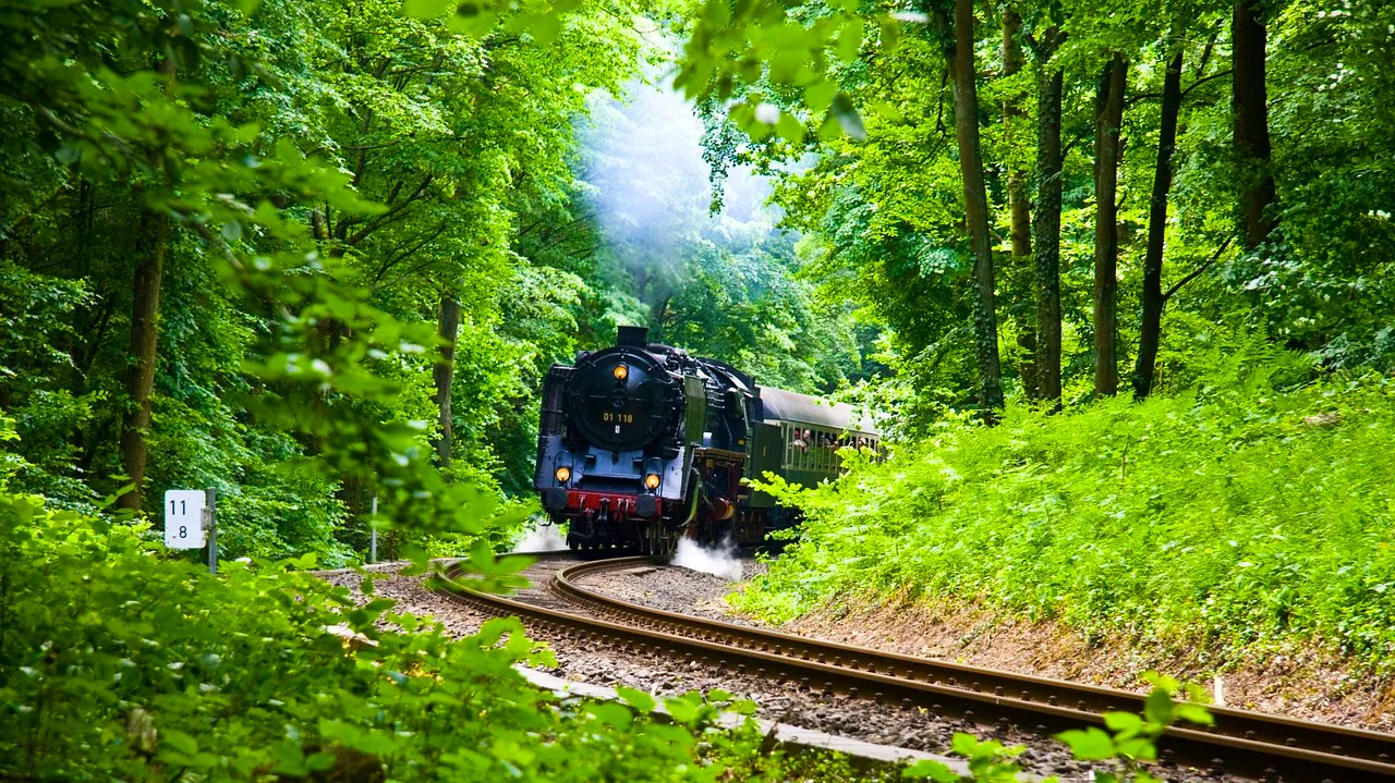 Kandy to Ella Train Tickets – Reserved Seats | Scenic Train Ride in Sri Lanka