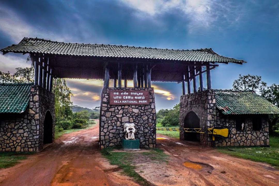 Yala National Park Full Day Safari Including Meals
