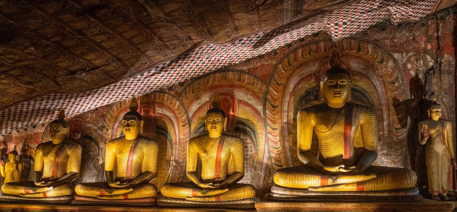 Private Day Trip to Sigiriya, Cave Temple &amp; National Park Safari Tour