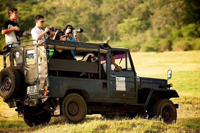 Private Day Trip to Sigiriya, Cave Temple &amp; National Park Safari Tour